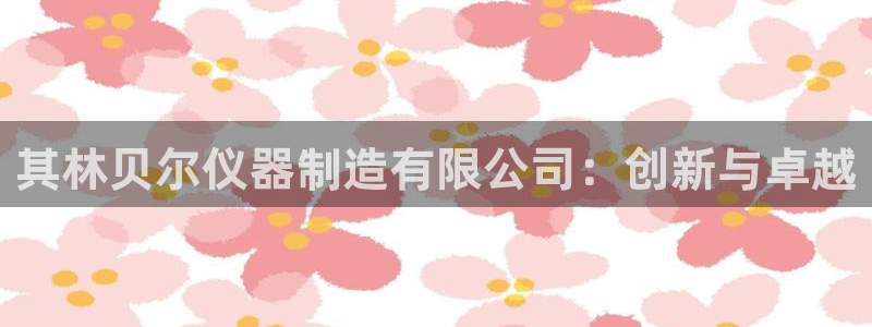 快手天宏娱乐是什么：其林贝尔仪器制造有限公司：创新与卓越