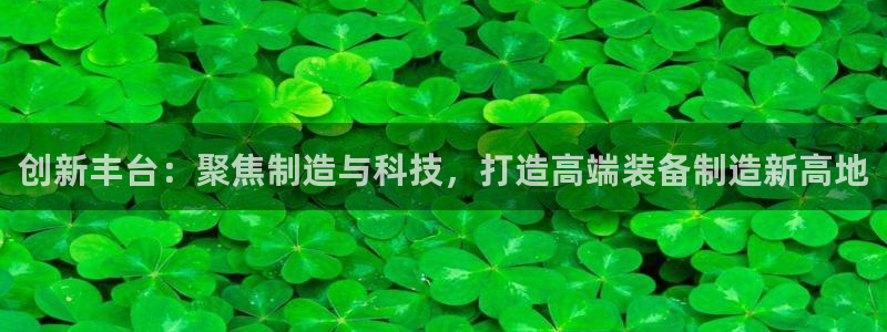 天宏2娱乐主管：创新丰台：聚焦制造与科技，打造高端装备制造新