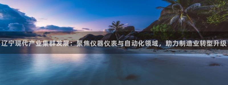 天宏娱乐老秦：辽宁现代产业集群发展：聚焦仪器仪表与自动化领域