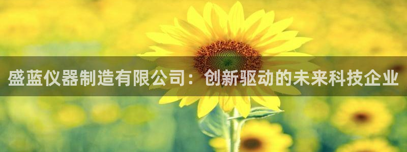 天宏娱乐丁叔：盛蓝仪器制造有限公司：创新驱动的未来科技企业