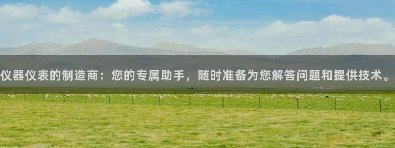 天宏娱乐团购：仪器仪表的制造商：您的专属助手，随时准备为您解
