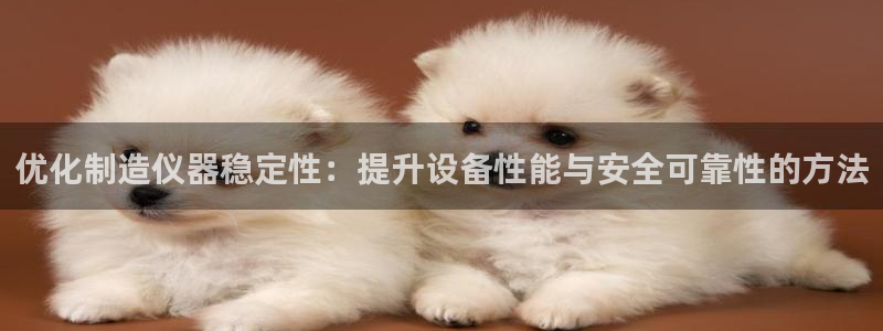 天宏娱乐探索无限空间：优化制造仪器稳定性：提升设备性能与安全