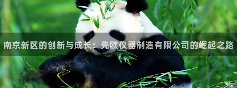 天宏娱乐怎样赚钱的啊：南京新区的创新与成长：先欧仪器制造有限