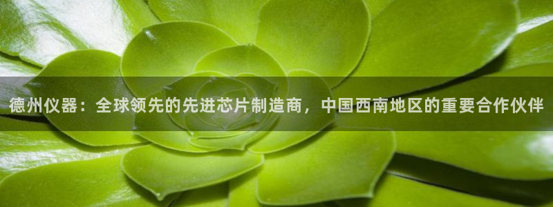 天宏娱乐注册32937：德州仪器：全球领先的先进芯片制造商，