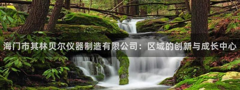 天宏娱乐广西吴叔：海门市其林贝尔仪器制造有限公司：区域的创新