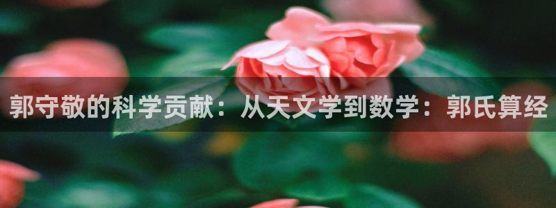 天宏 娱乐属于什么平台：郭守敬的科学贡献：从天文学到数学：郭