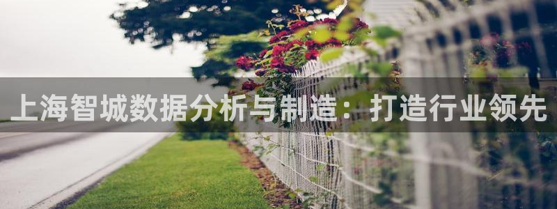 天亿娱乐宏发团队成员：上海智城数据分析与制造：打造行业领先