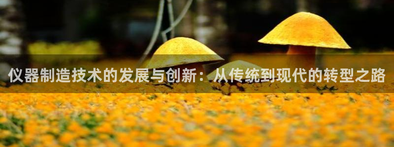 天宏娱乐董事长简介：仪器制造技术的发展与创新：从传统到现代的